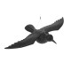 Cuervo de plastico (volador) 57cm edm